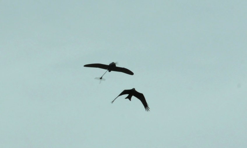 WASP AE de la EZAPAC del ejercito del aire