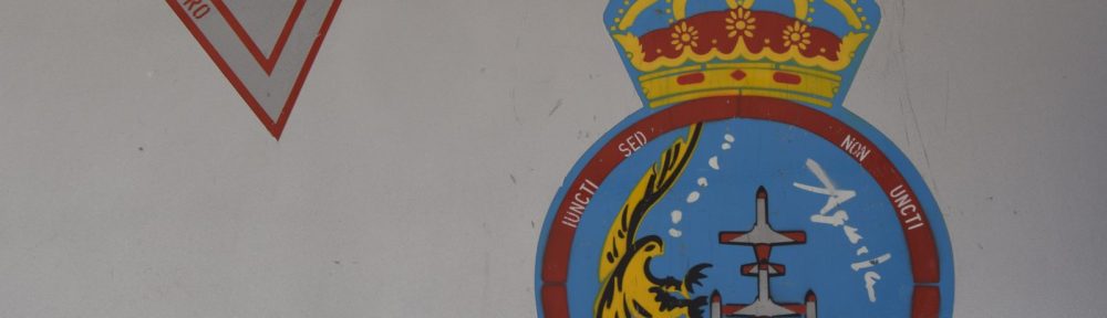 distintivo patrulla águila